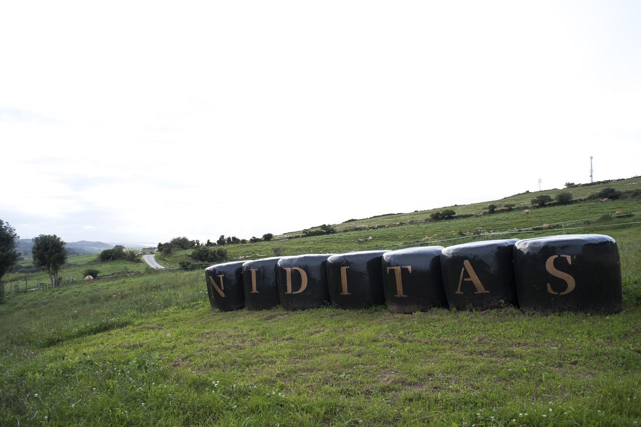 Yuso Suites Niditas المظهر الخارجي الصورة